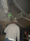 DSC00611