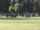 DSC09071