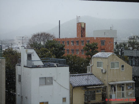 DSC00288